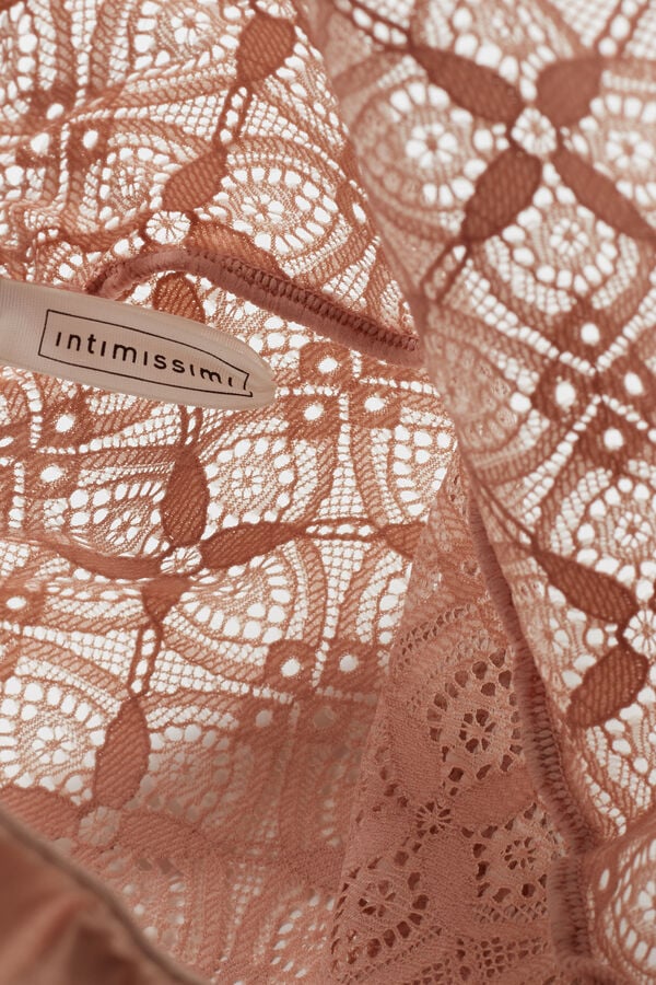 Lace and Silk Bikini Briefs