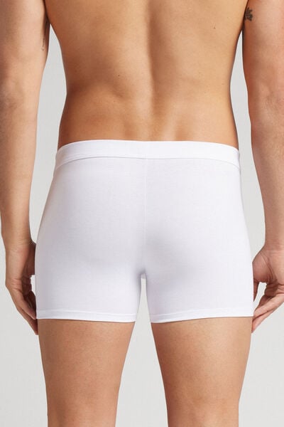 Premium Cotton Boxer Trunks