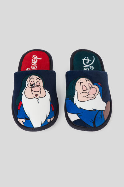 Pantofle ©Disney Dřímal