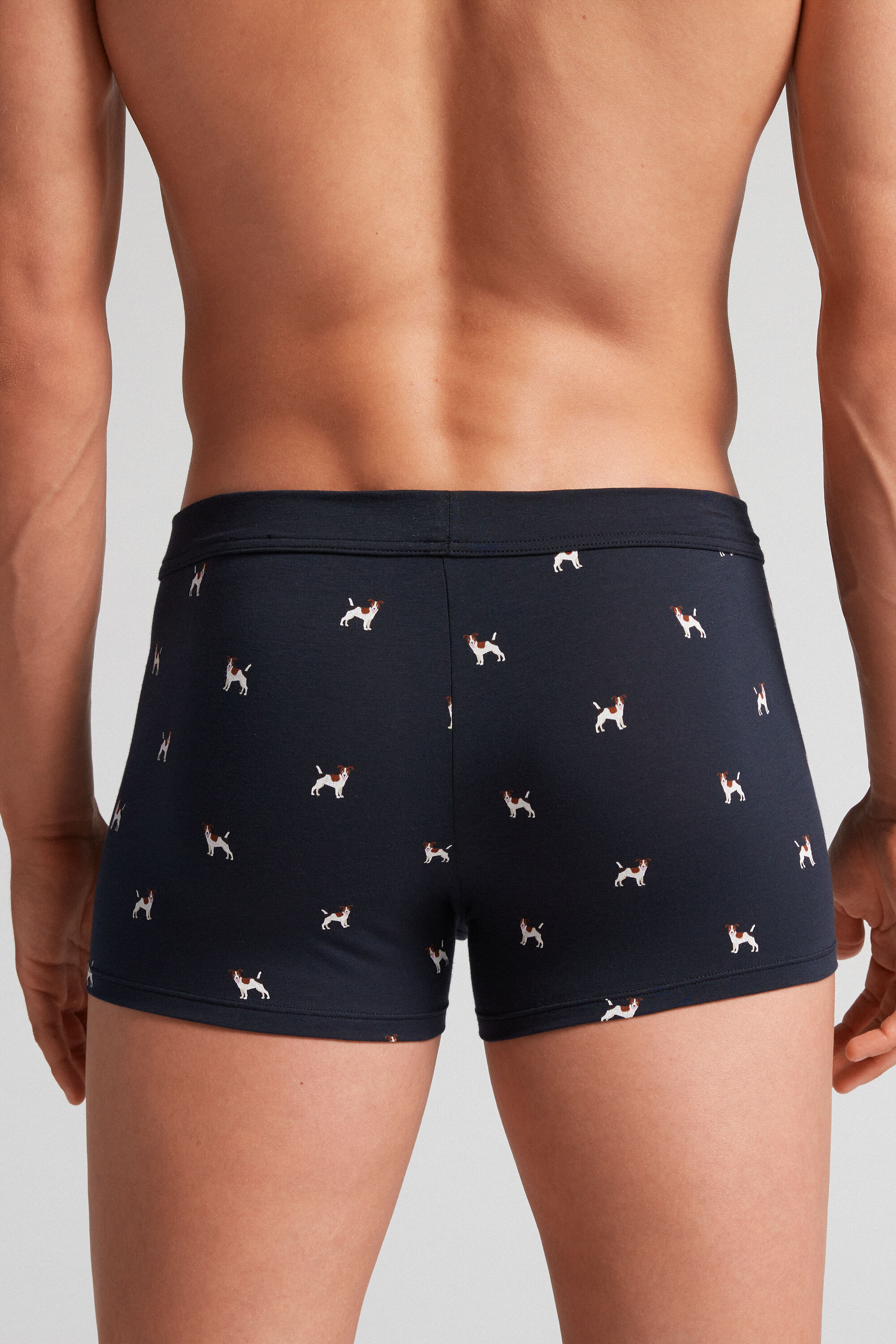 Jack Russell Natural Fresh Supima® Cotton Boxers | Intimissimi