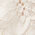 avorio crema - 2280