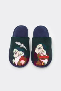 Pantofola ©Disney Brontolo