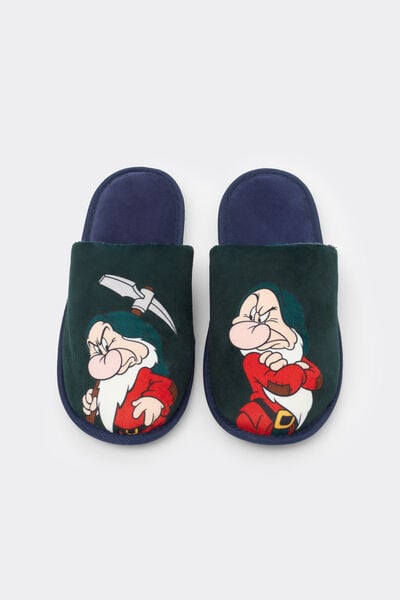 Pantofola ©Disney Brontolo