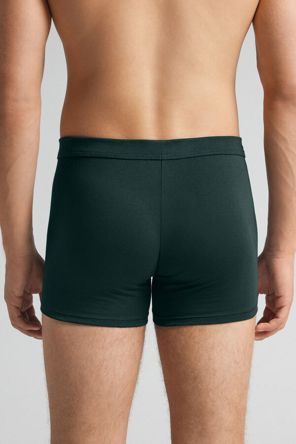 Superior Cotton Boxers