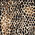 stampa animalier - 183k