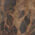 stampa leopard - 847j