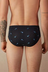 Shark Briefs in Stretch Supima® Cotton