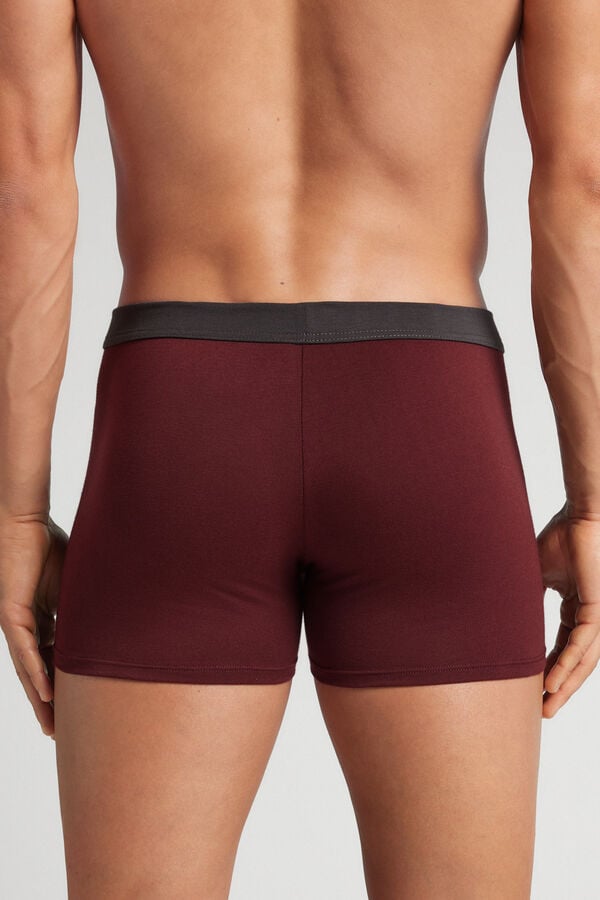 “The Indestructible” Superior Cotton Boxers
