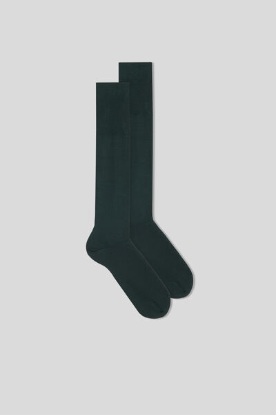 Long Sateen Cotton Lisle Socks