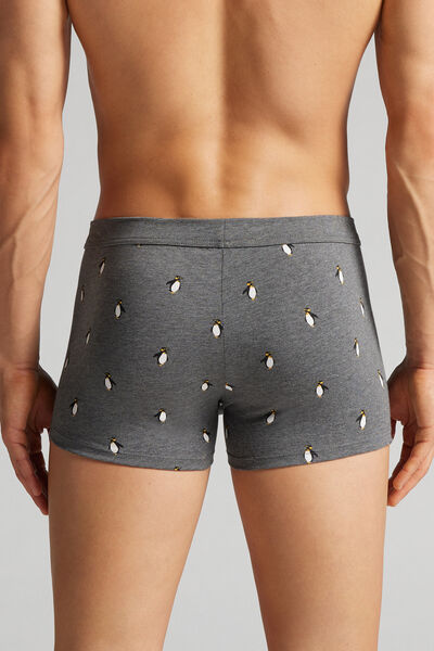 Penguin Stretch Supima® Cotton Boxers