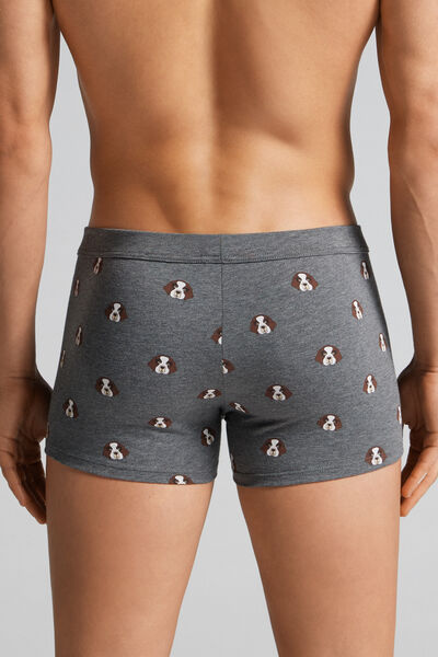 Stretch Supima® Cotton San Bernardo Boxers