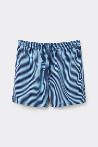 Blue Striped Swim Trunks
