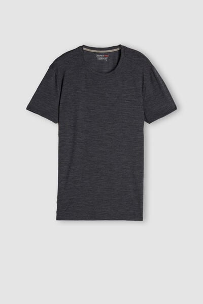 Short-Sleeve T-Shirt in Stretch Merino Wool