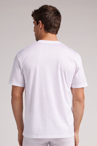 Premium Cotton T-Shirt