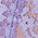 super violet - 334j