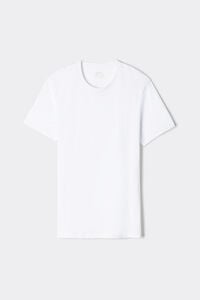 Superior Cotton T-Shirt