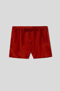 Boxer in Seta