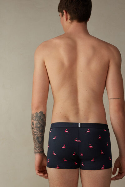 Boxershorts med flamingomönster i Supima®-bomullsstretch