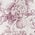 stampa rose dusty lily - 560j