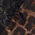 stampa luxurious leopard - 769j