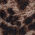 stampa luxurious leopard - 769j