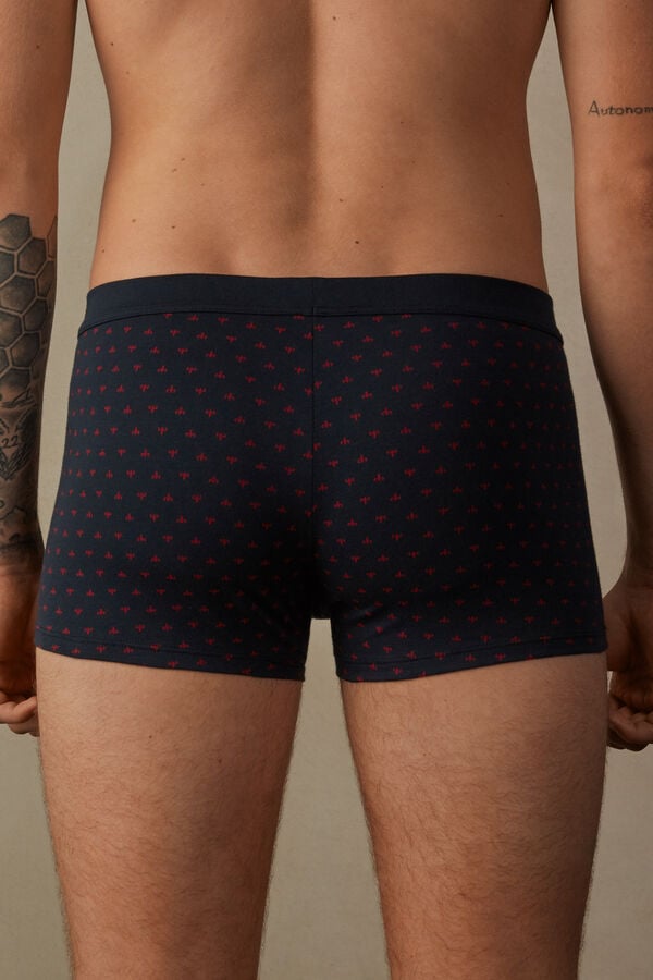 Lily Boxers in Stretch Supima® Cotton