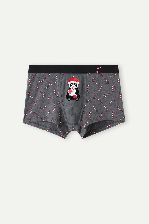 Candy Cane Boxers in Stretch Supima® Cotton Intimissimi