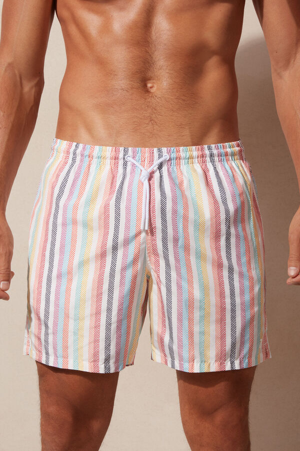 Multicolour Striped Swim Shorts