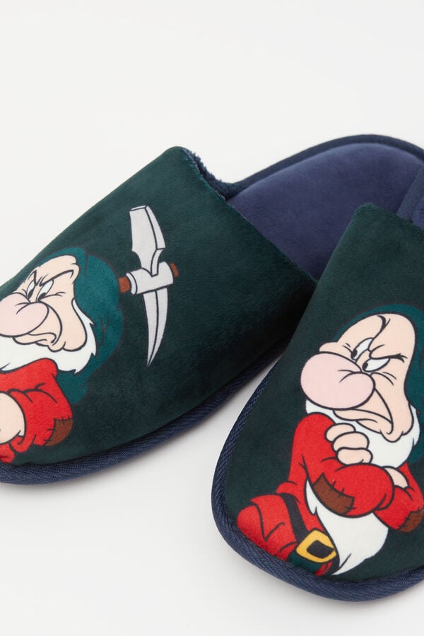 Pantofola ©Disney Brontolo