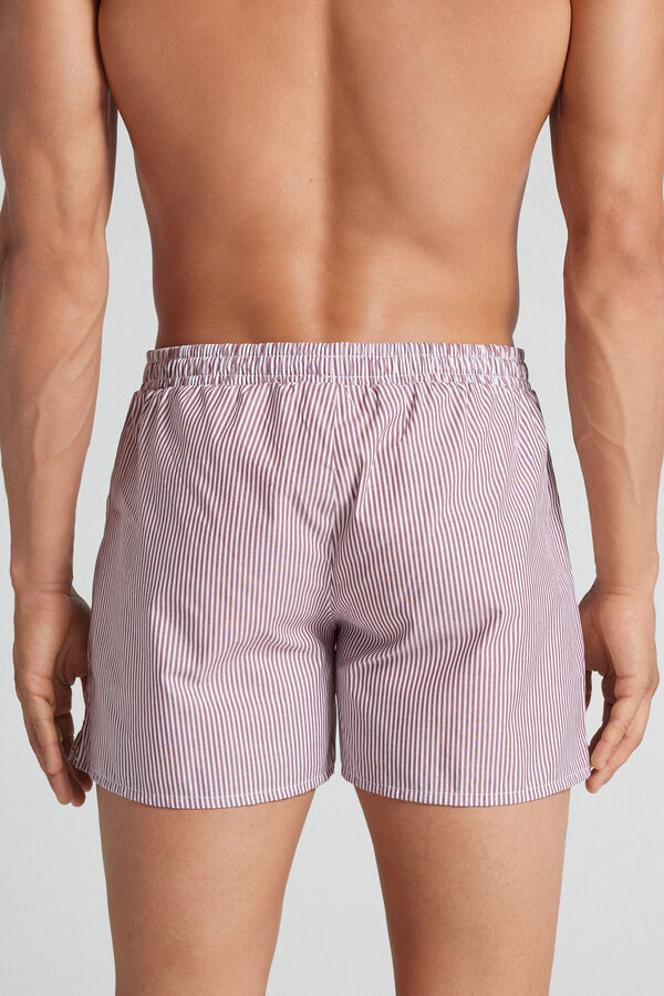 Boxer in Tela Fantasia