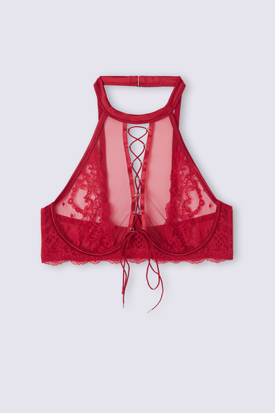 Brassière Sinful Fantasies