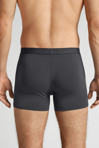 Boxers em Algodão Superior com Elástico Visível
