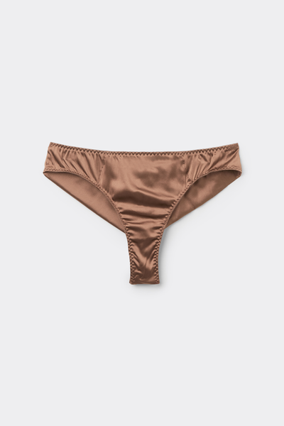 Silk Brazilian Briefs