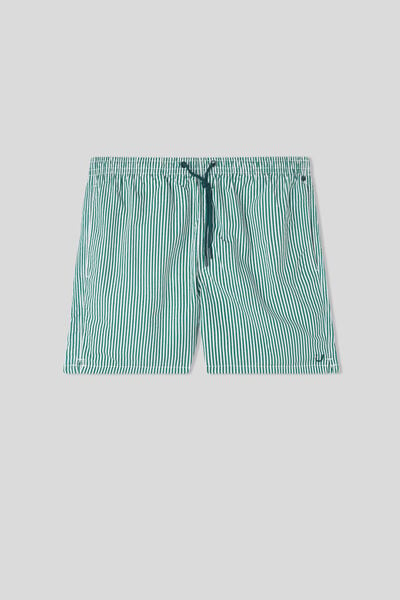 Green Striped Swim Trunks