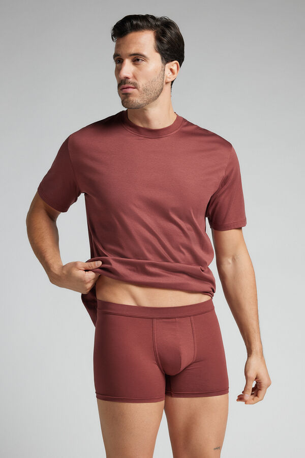Premium Cotton Boxers