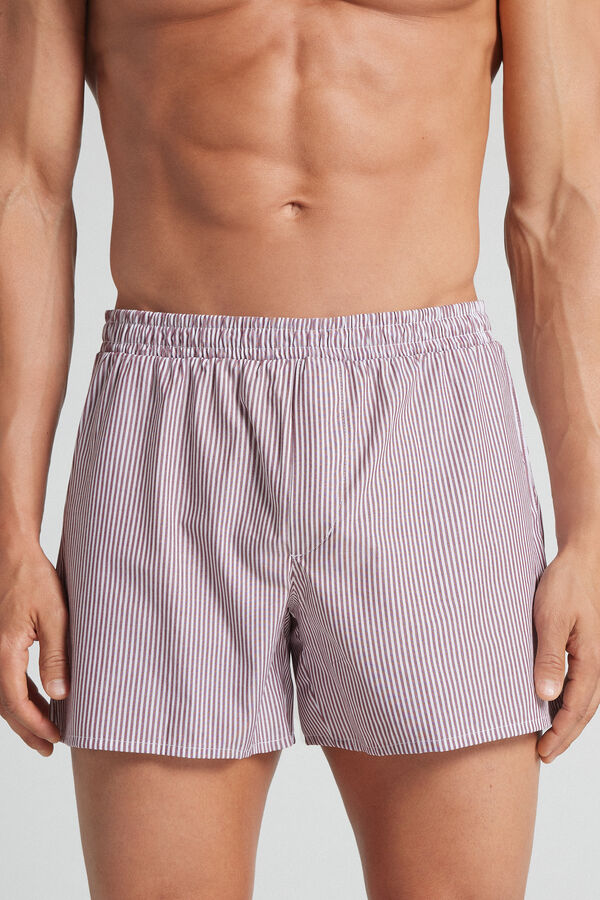 Boxer in Tela Fantasia