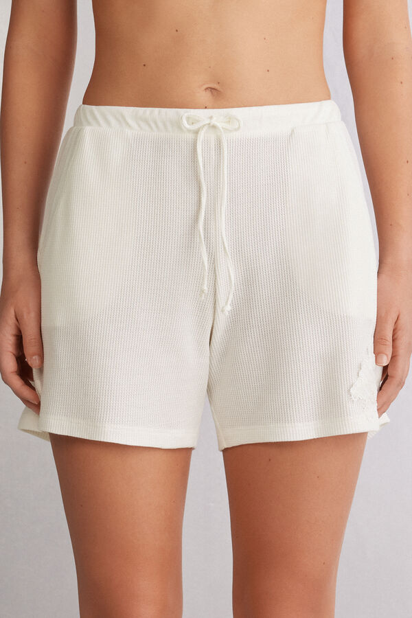 Bermudas Glisten in the Light