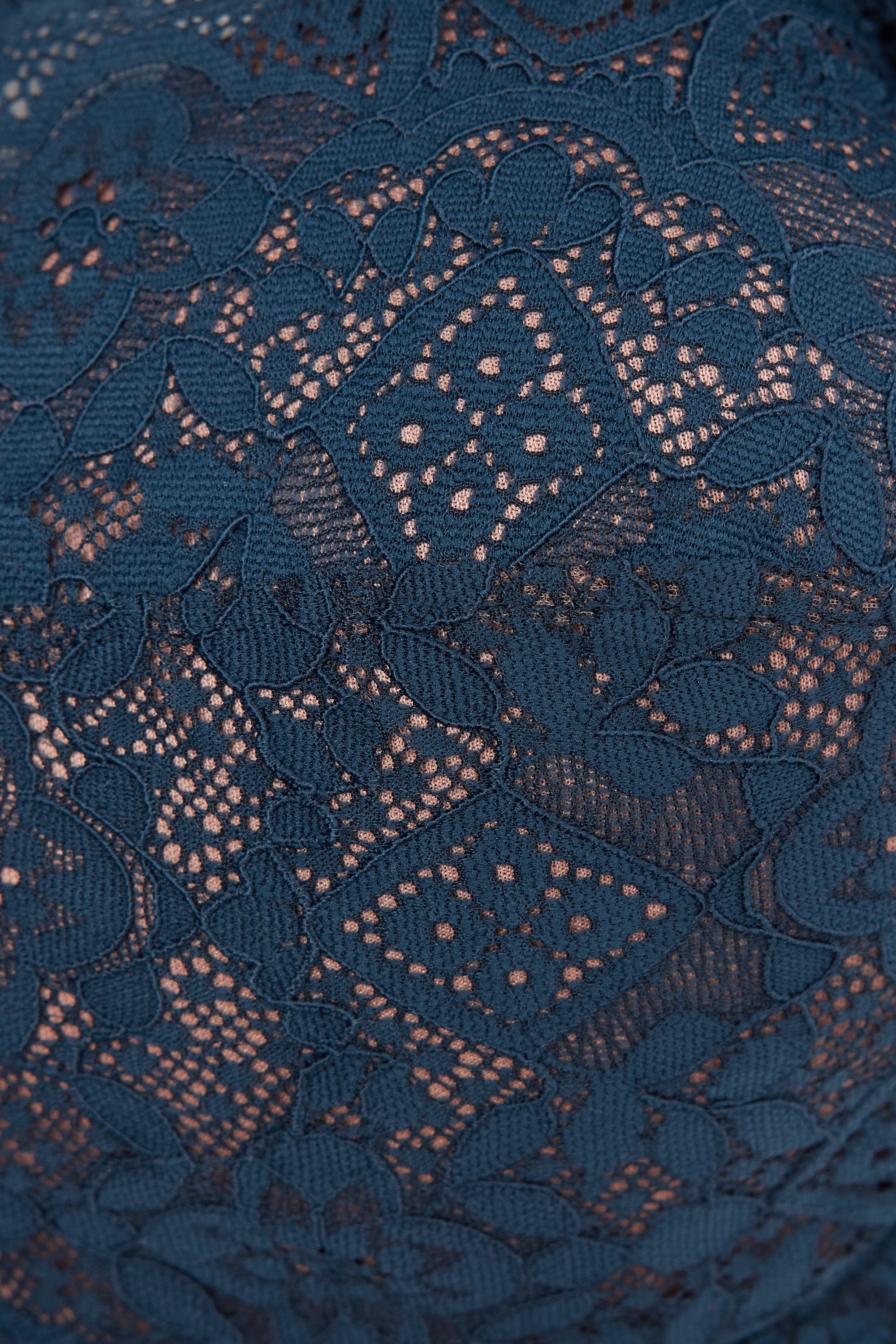 Elena レース バルコネットブラ