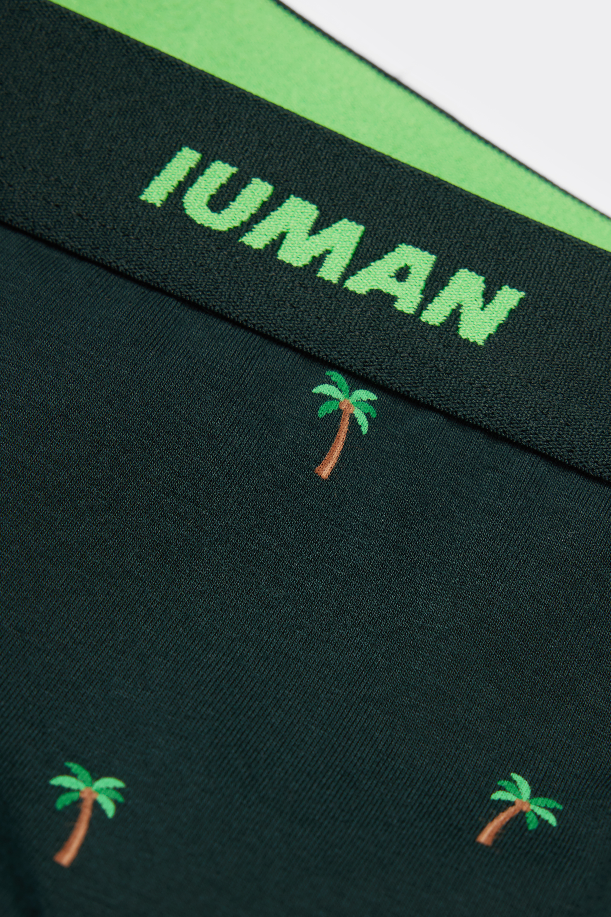 パームツリープリント スーペリアコットン ボクサー