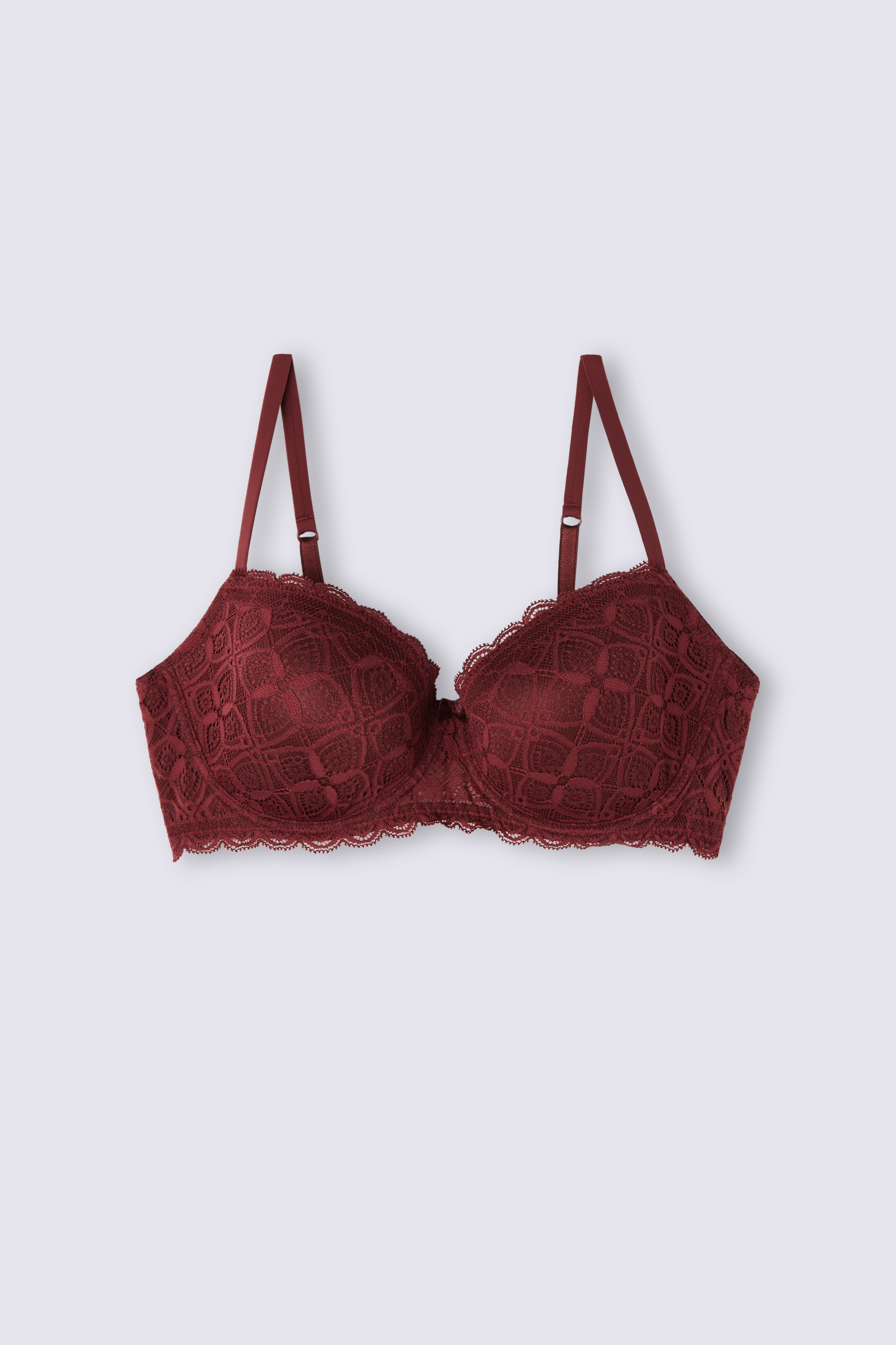 Silvia Push-up Bra in Lace