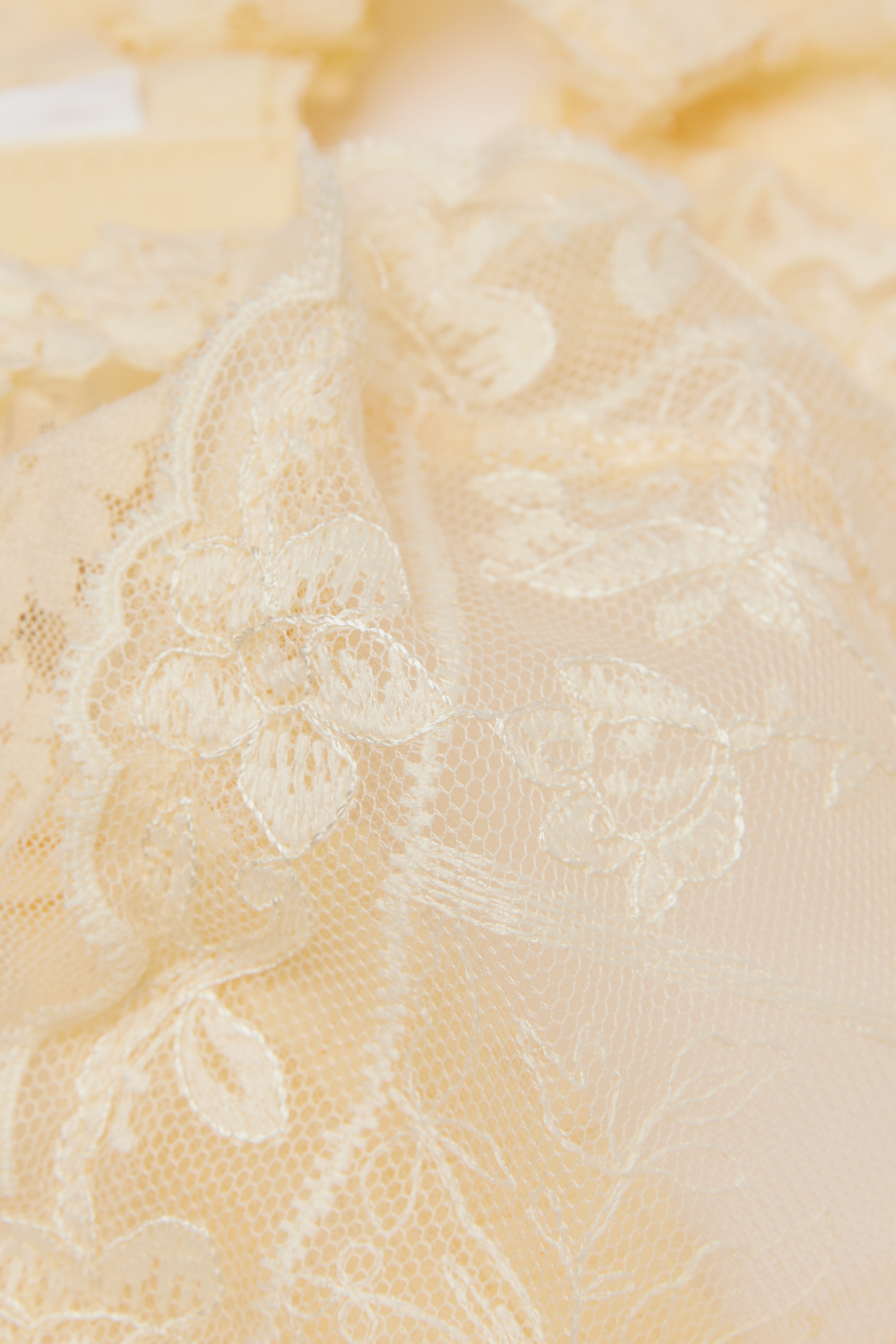 "Storybook Romance" バルコネットブラ