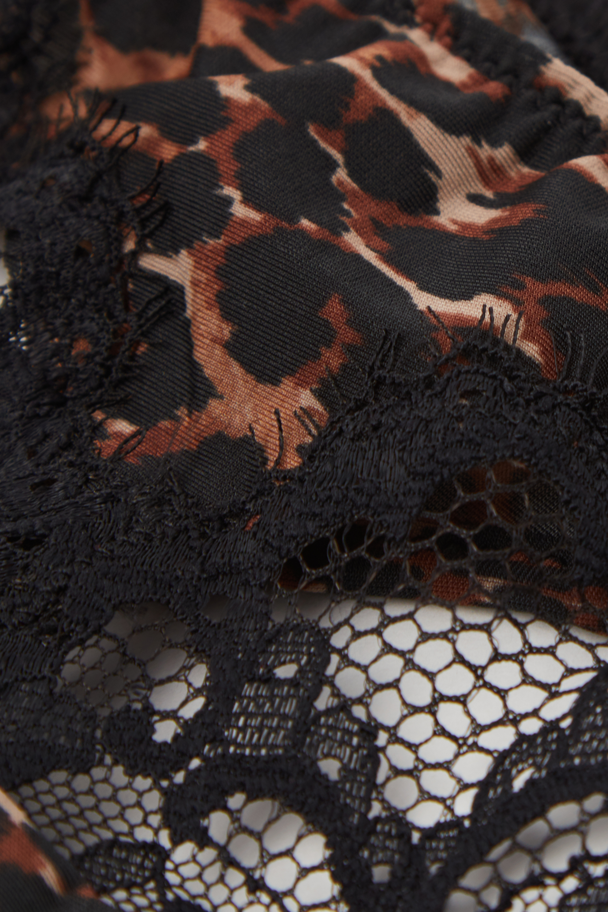 "Sensual Attitude" アニマルプリント ソング