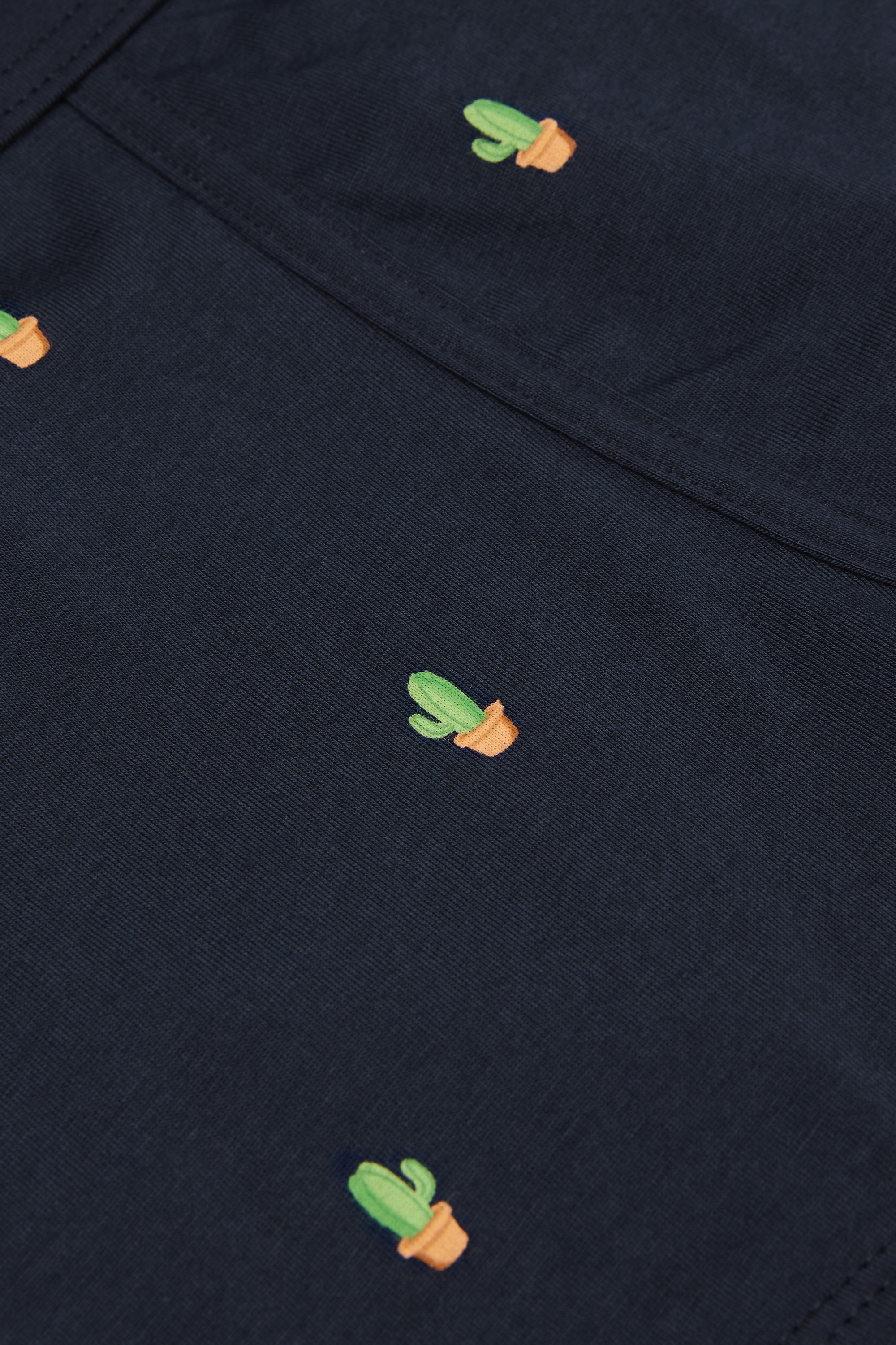 サボテンプリント スーペリアコットン ボクサー