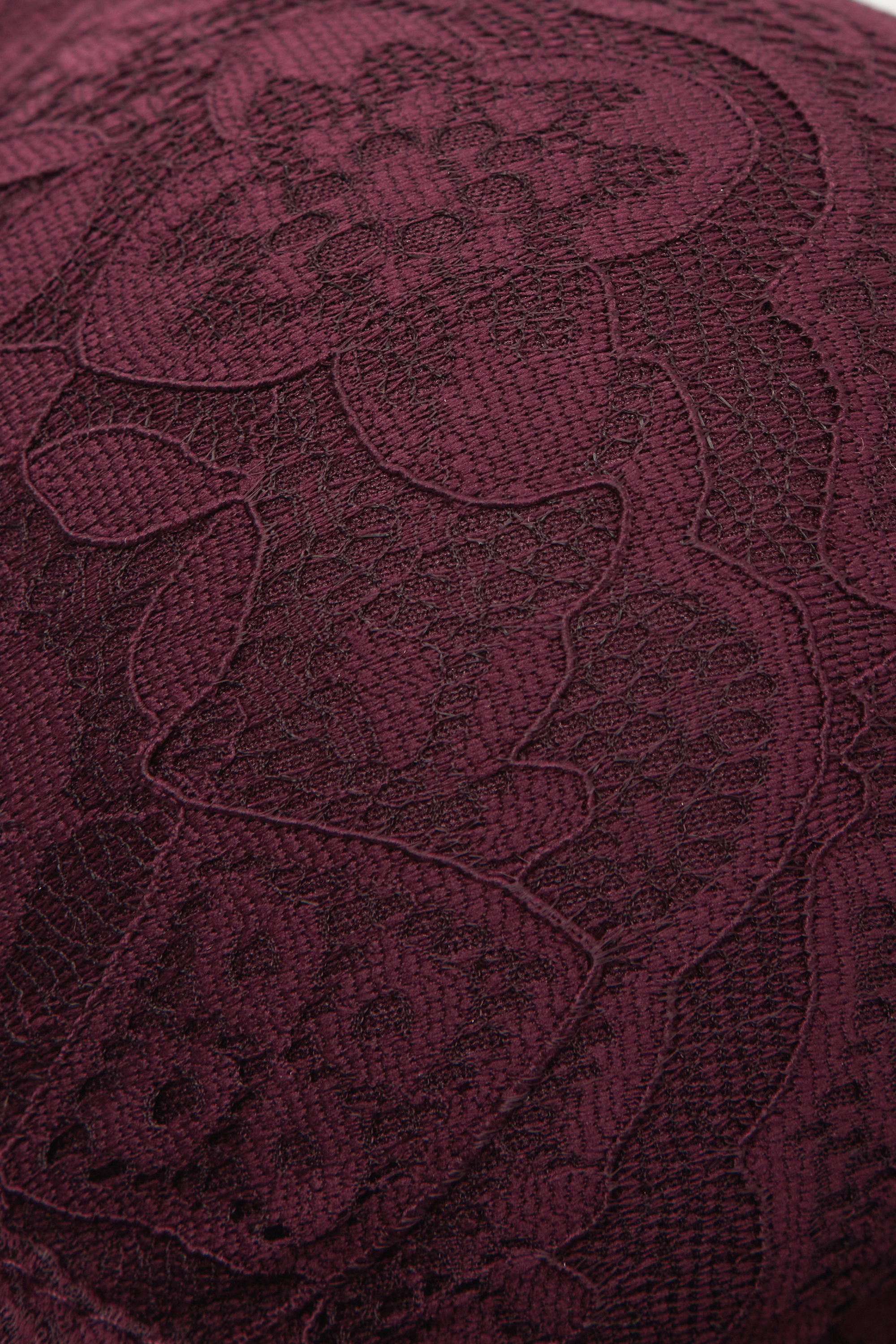 Sofia レース バルコネットブラ