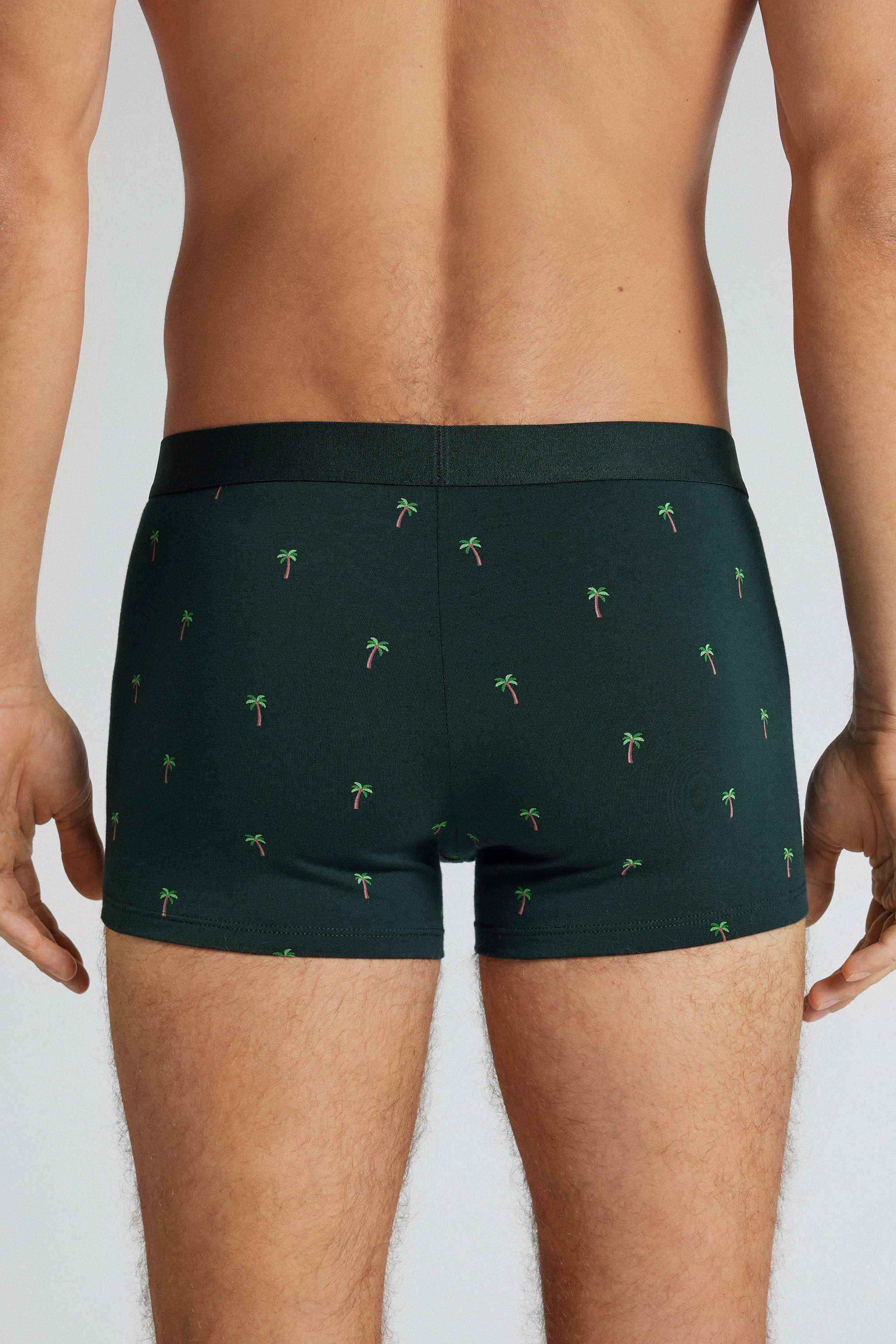 パームツリープリント スーペリアコットン ボクサー