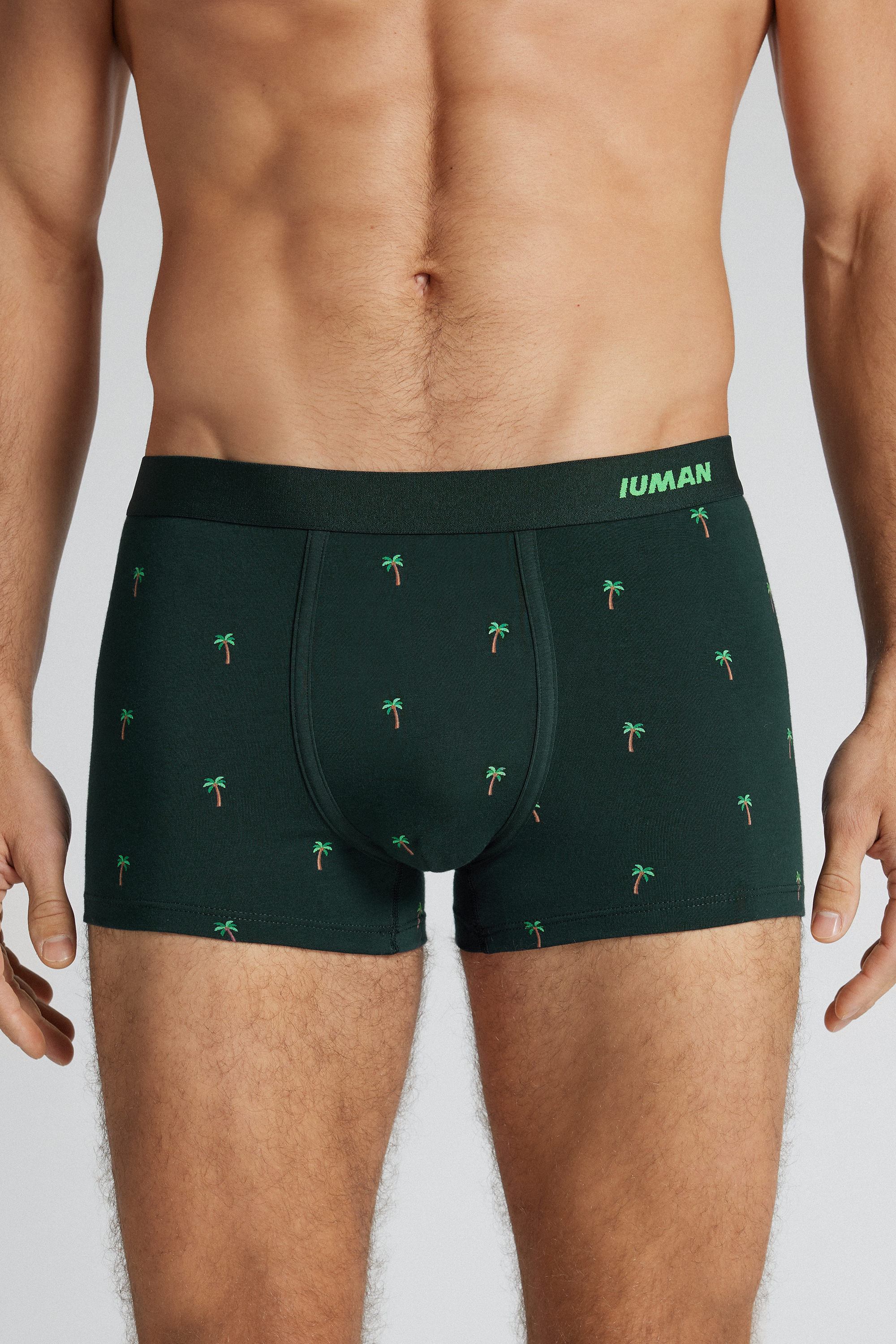 パームツリープリント スーペリアコットン ボクサー