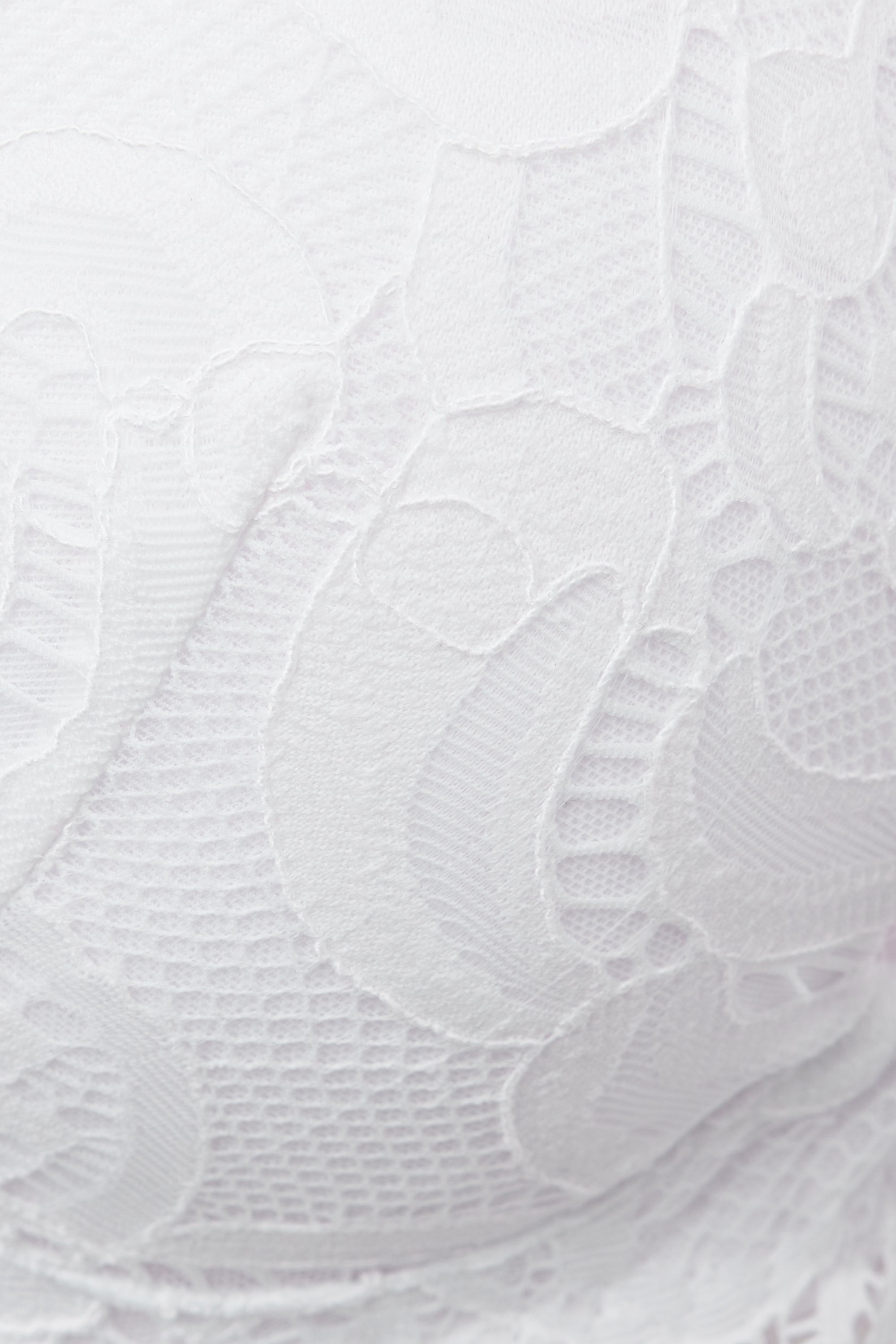 Scent of Summer Monica プッシュアップブラ