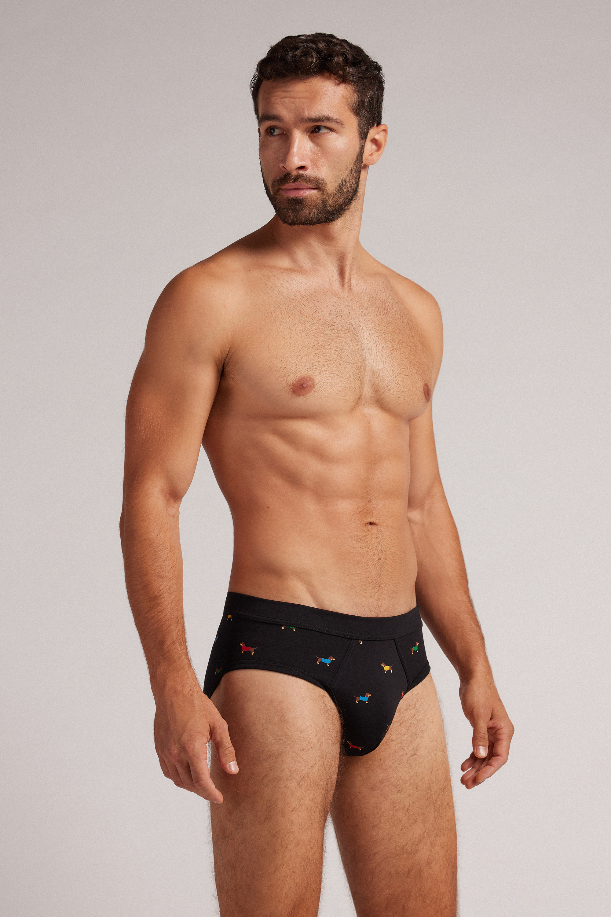 ダックスフントプリント Superior コットン ブリーフ