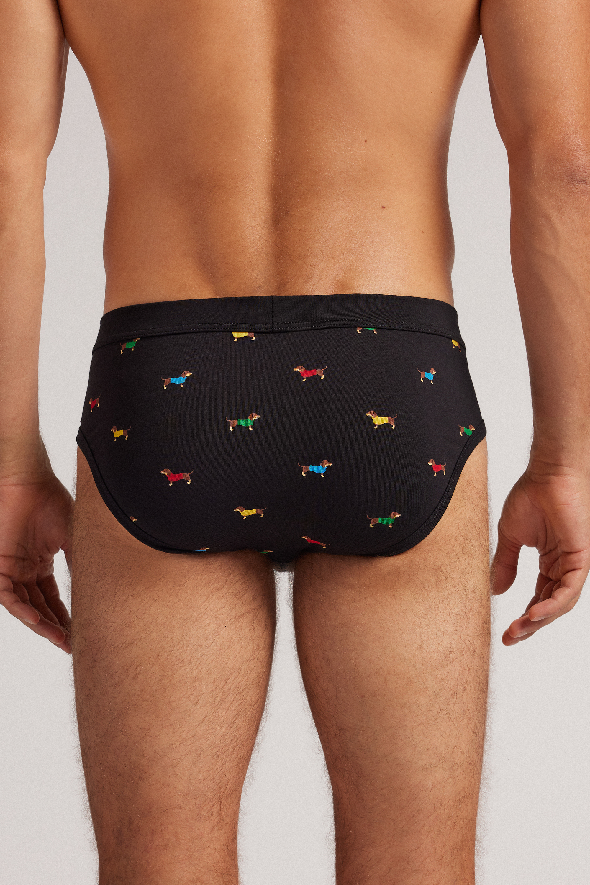 ダックスフントプリント Superior コットン ブリーフ