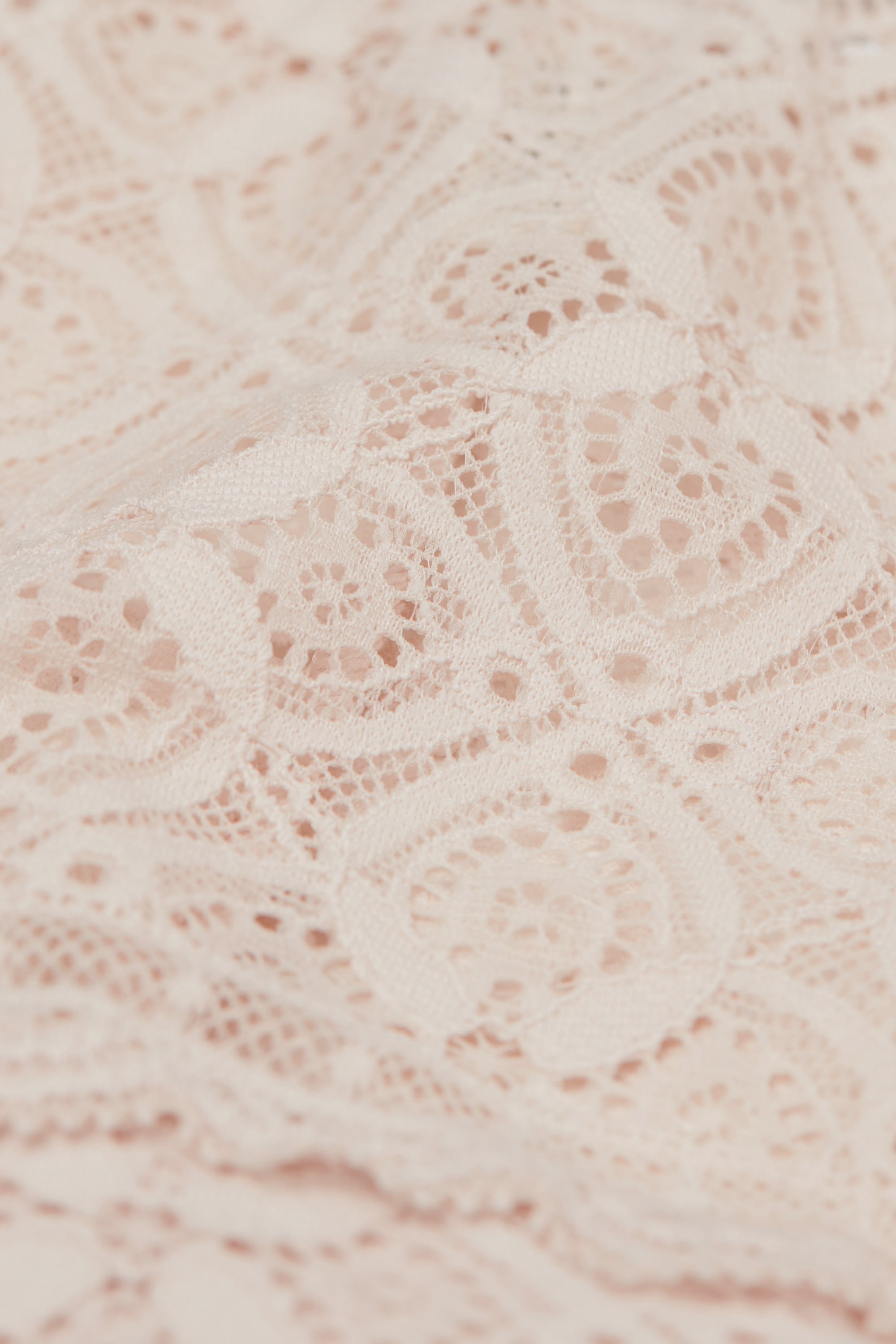 レース キュロット